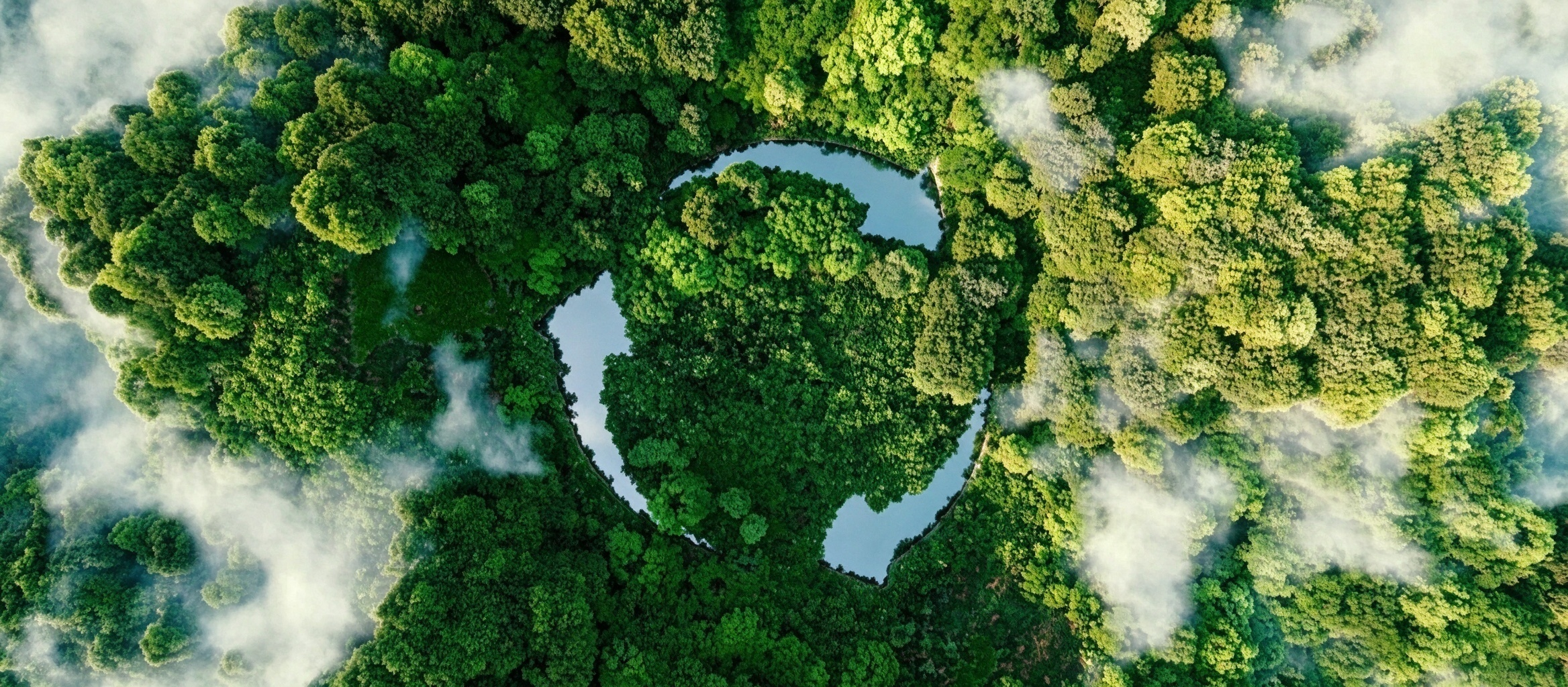 业务概览